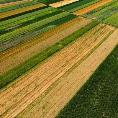 Aerial view of cultivated agricultural fields in summer, beautiful countryside patchwork landscape from drone pov